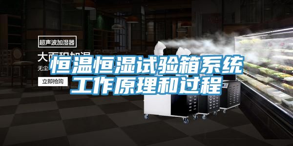 恒溫恒濕試驗(yàn)箱系統(tǒng)工作原理和過程