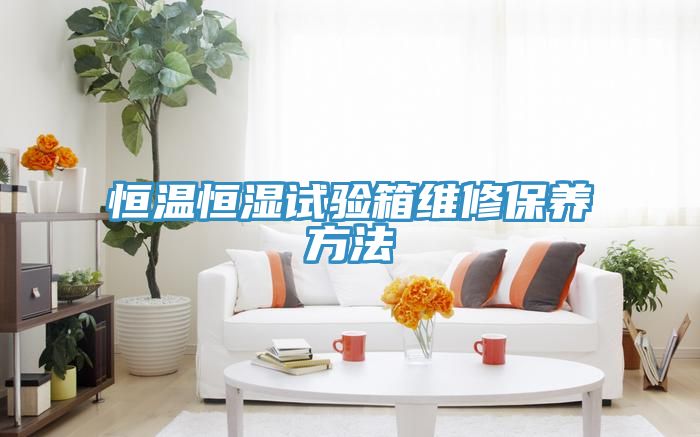 恒溫恒濕試驗(yàn)箱維修保養(yǎng)方法