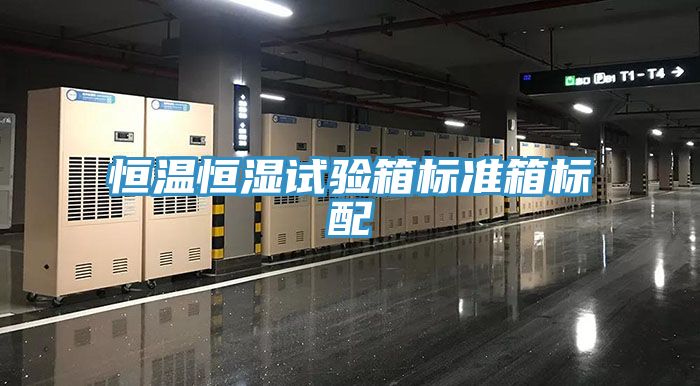 恒溫恒濕試驗箱標(biāo)準(zhǔn)箱標(biāo)配