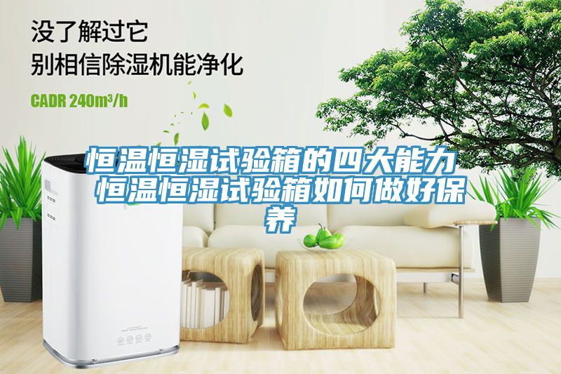 恒溫恒濕試驗箱的四大能力 恒溫恒濕試驗箱如何做好保養(yǎng)