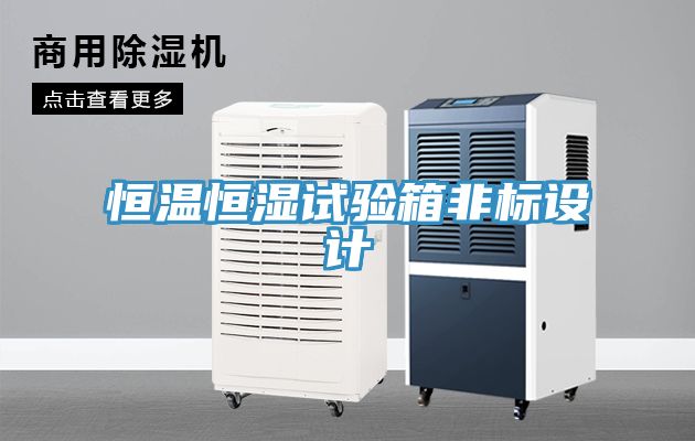 恒溫恒濕試驗(yàn)箱非標(biāo)設(shè)計(jì)