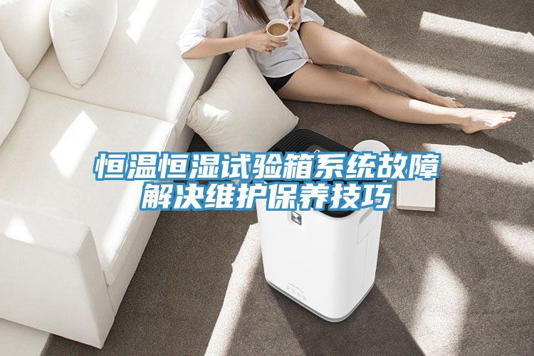 恒溫恒濕試驗(yàn)箱系統(tǒng)故障解決維護(hù)保養(yǎng)技巧