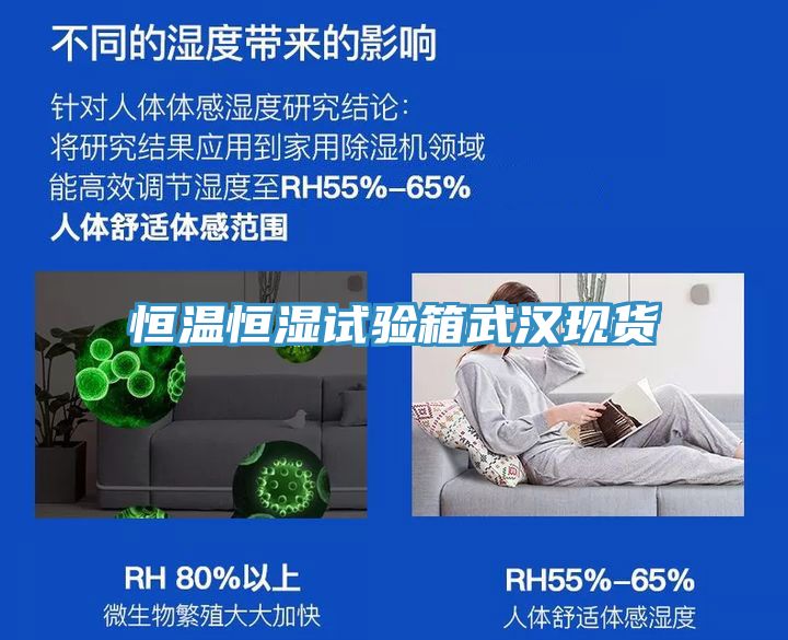 恒溫恒濕試驗箱武漢現(xiàn)貨