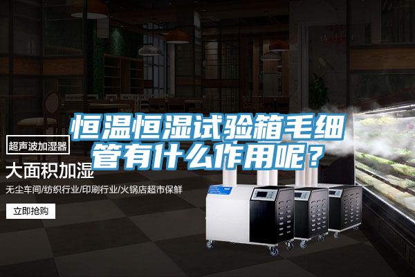 恒溫恒濕試驗箱毛細(xì)管有什么作用呢？
