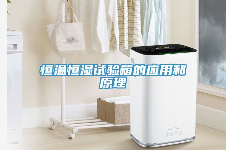 恒溫恒濕試驗箱的應(yīng)用和原理