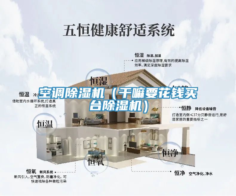 空調(diào)除濕機(jī)（干嘛要花錢買臺(tái)除濕機(jī)）