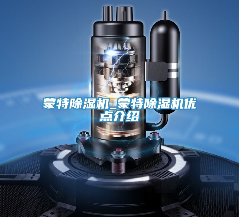 蒙特除濕機(jī)_蒙特除濕機(jī)優(yōu)點(diǎn)介紹