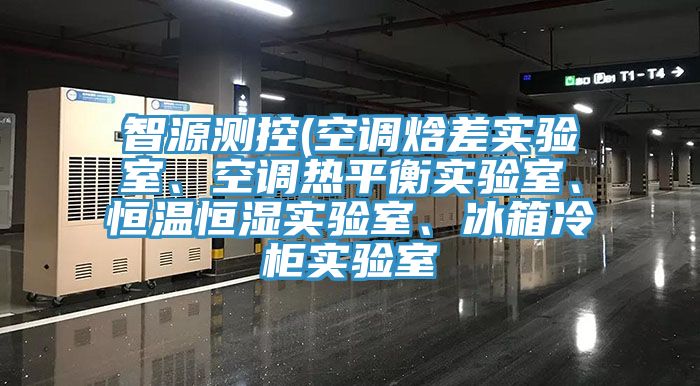 智源測(cè)控(空調(diào)焓差實(shí)驗(yàn)室、空調(diào)熱平衡實(shí)驗(yàn)室、恒溫恒濕實(shí)驗(yàn)室、冰箱冷柜實(shí)驗(yàn)室