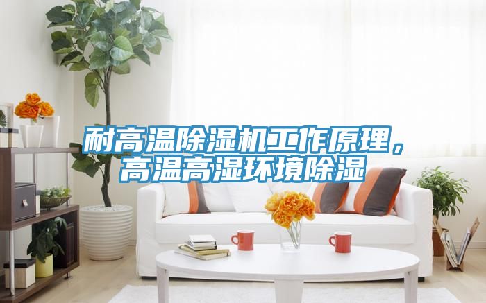 耐高溫除濕機工作原理，高溫高濕環(huán)境除濕