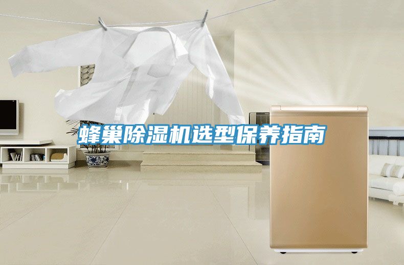 蜂巢除濕機(jī)選型保養(yǎng)指南