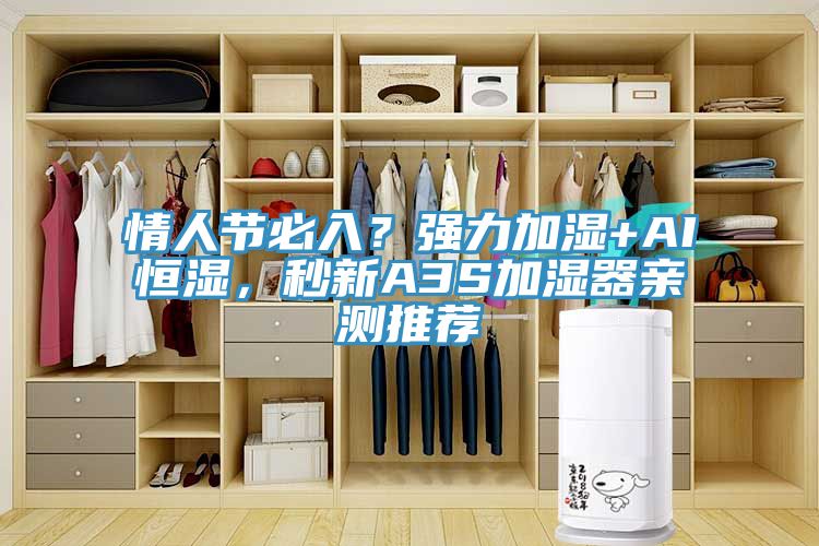 情人節(jié)必入？強(qiáng)力加濕+AI恒濕，秒新A3S加濕器親測(cè)推薦