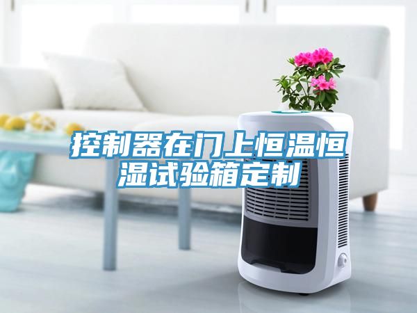 控制器在門上恒溫恒濕試驗(yàn)箱定制