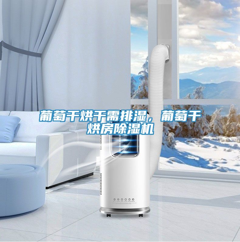葡萄干烘干需排濕，葡萄干烘房除濕機(jī)