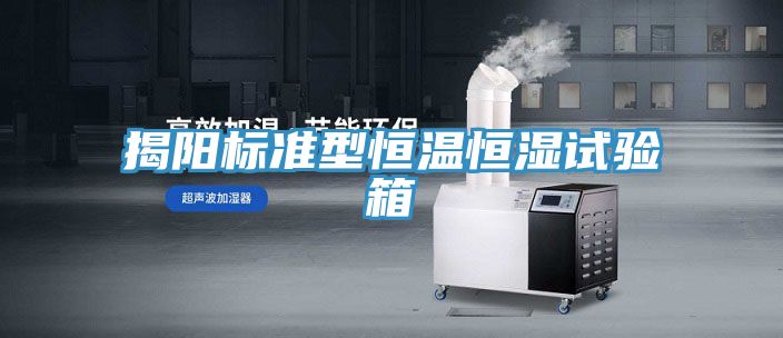 揭陽標(biāo)準(zhǔn)型恒溫恒濕試驗箱