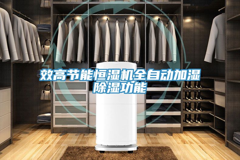 效高節(jié)能恒濕機全自動加濕除濕功能