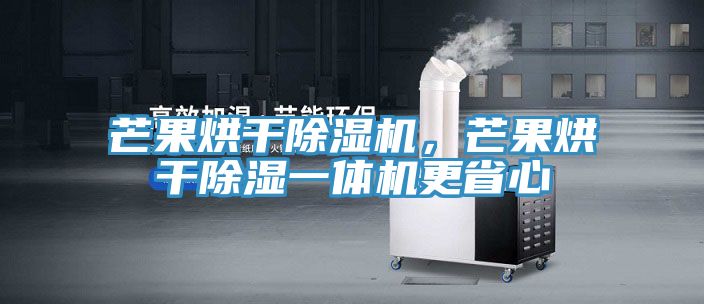 芒果烘干除濕機，芒果烘干除濕一體機更省心