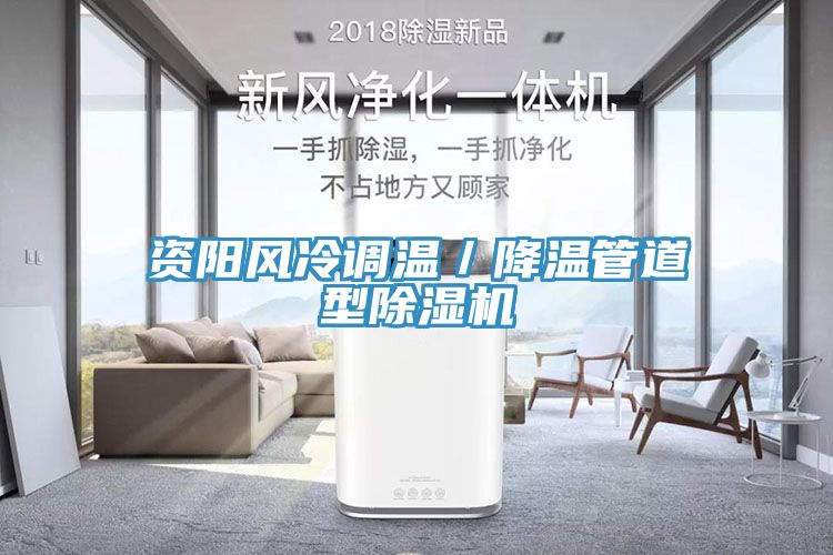 資陽風(fēng)冷調(diào)溫／降溫管道型除濕機(jī)