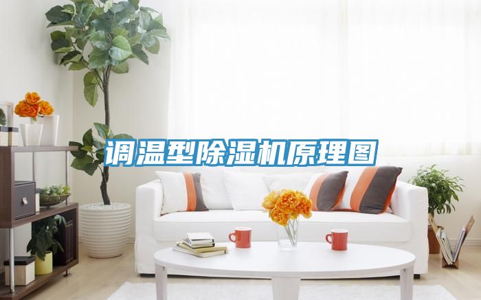 調(diào)溫型除濕機原理圖