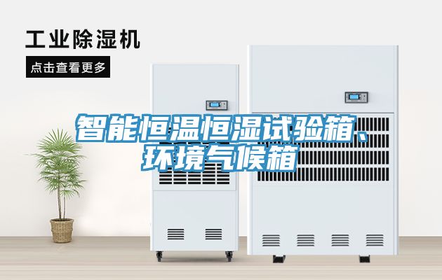 智能恒溫恒濕試驗(yàn)箱、環(huán)境氣候箱