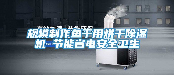 規(guī)模制作魚干用烘干除濕機(jī) 節(jié)能省電安全衛(wèi)生
