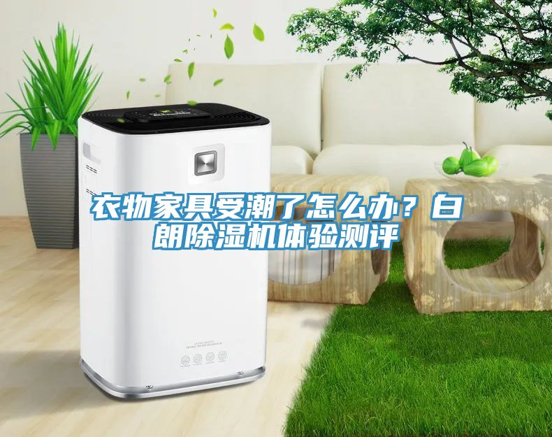 衣物家具受潮了怎么辦？白朗除濕機(jī)體驗(yàn)測(cè)評(píng)