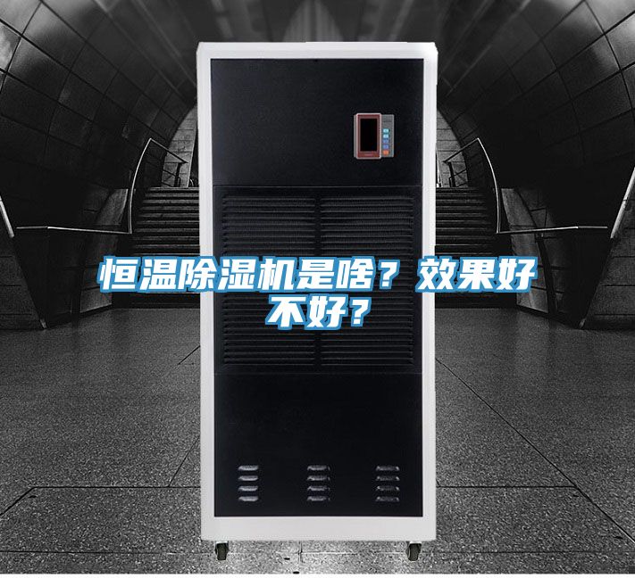 恒溫除濕機(jī)是啥？效果好不好？