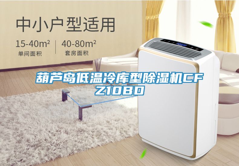 葫蘆島低溫冷庫(kù)型除濕機(jī)CFZ10BD