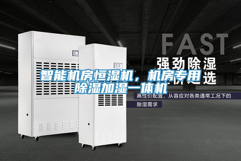 智能機(jī)房恒濕機(jī)，機(jī)房專用除濕加濕一體機(jī)