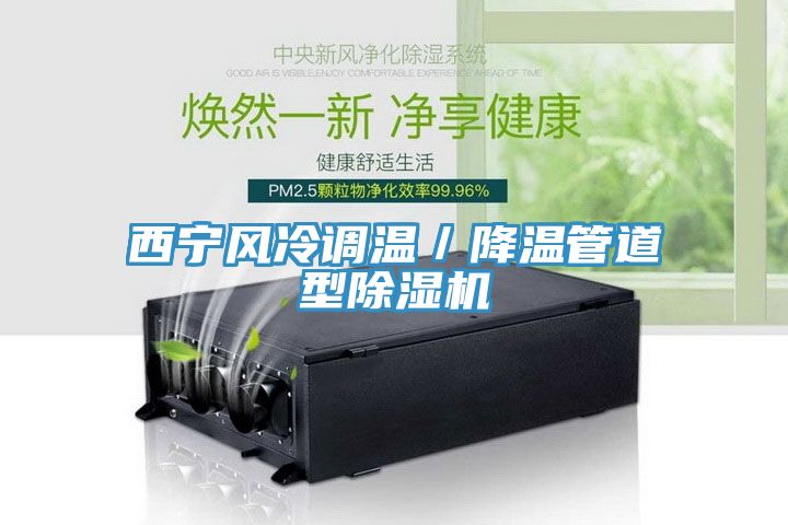 西寧風(fēng)冷調(diào)溫／降溫管道型除濕機(jī)