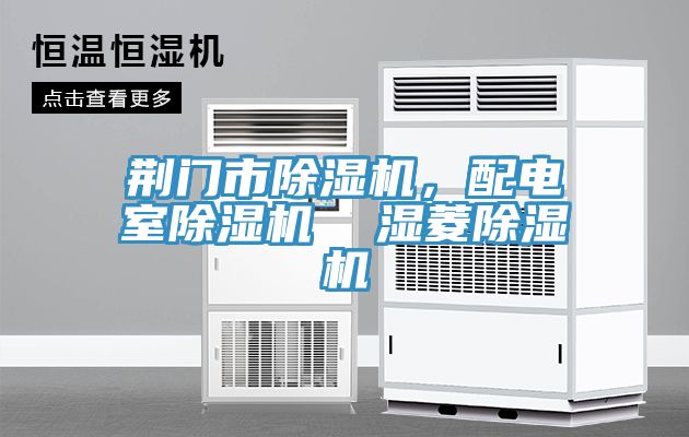 荊門市除濕機(jī)，配電室除濕機(jī)  濕菱除濕機(jī)