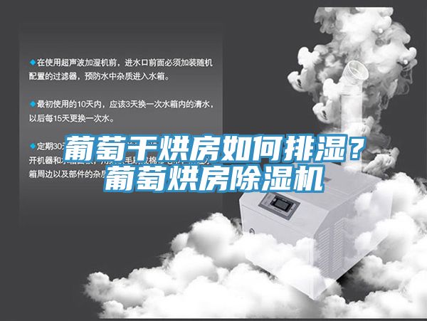 葡萄干烘房如何排濕？葡萄烘房除濕機(jī)
