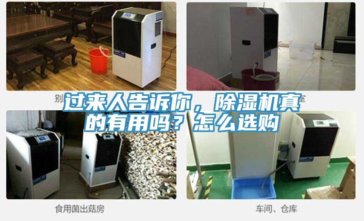 過來(lái)人告訴你，除濕機(jī)真的有用嗎？怎么選購(gòu)