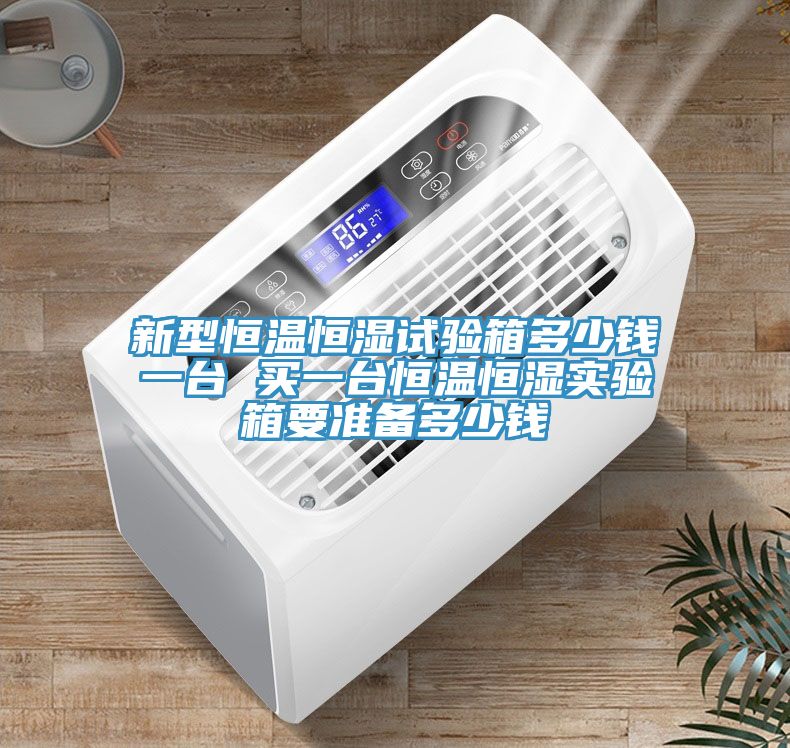 新型恒溫恒濕試驗(yàn)箱多少錢一臺 買一臺恒溫恒濕實(shí)驗(yàn)箱要準(zhǔn)備多少錢