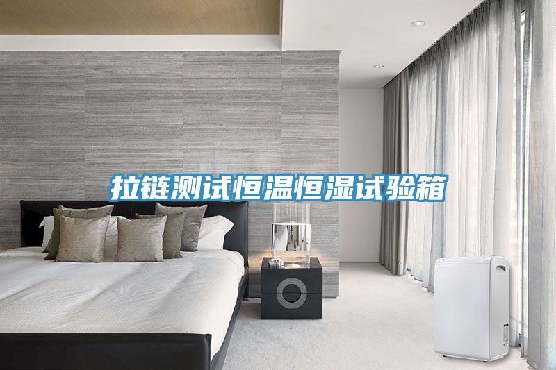 拉鏈測(cè)試恒溫恒濕試驗(yàn)箱