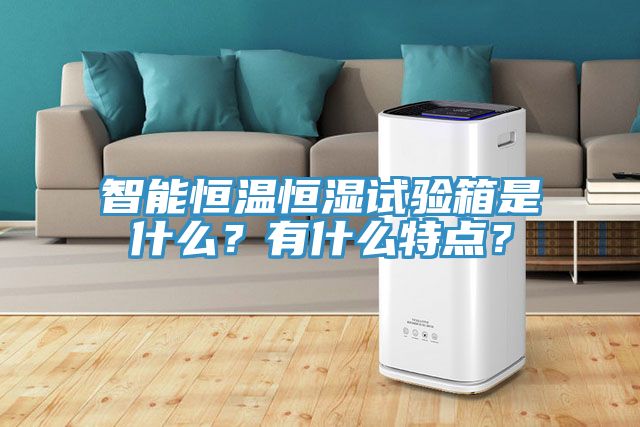 智能恒溫恒濕試驗(yàn)箱是什么？有什么特點(diǎn)？