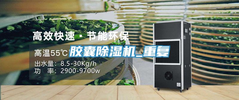 膠囊除濕機_重復