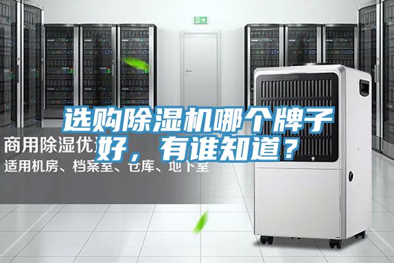 選購(gòu)除濕機(jī)哪個(gè)牌子好，有誰(shuí)知道？