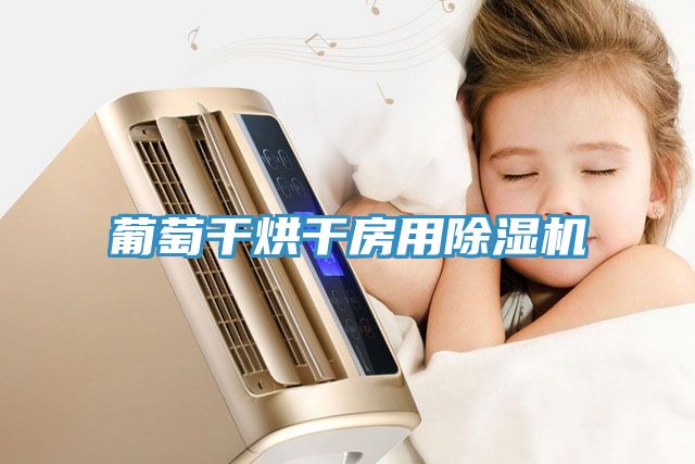 葡萄干烘干房用除濕機(jī)
