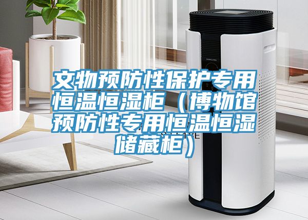 文物預(yù)防性保護(hù)專用恒溫恒濕柜（博物館預(yù)防性專用恒溫恒濕儲藏柜）