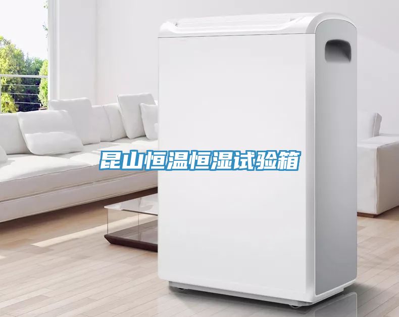 昆山恒溫恒濕試驗(yàn)箱