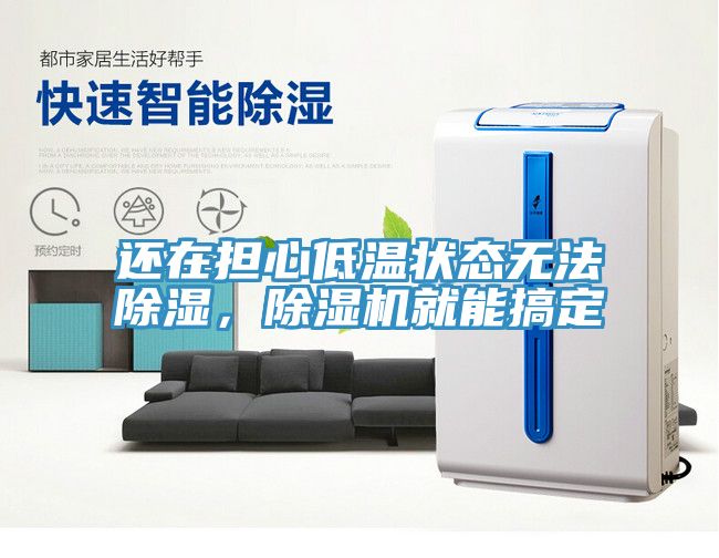 還在擔(dān)心低溫狀態(tài)無(wú)法除濕，除濕機(jī)就能搞定