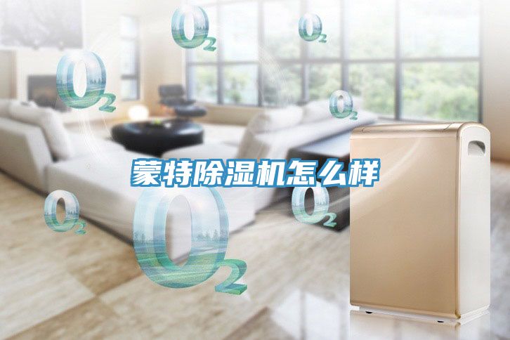 蒙特除濕機(jī)怎么樣