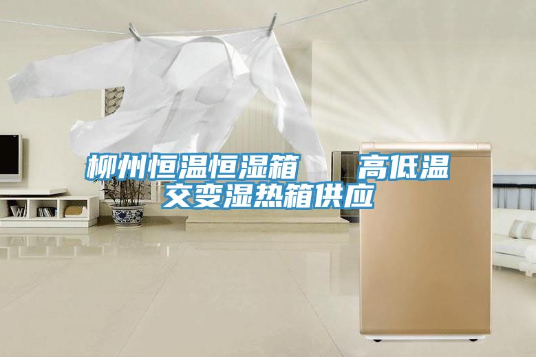 柳州恒溫恒濕箱   高低溫交變濕熱箱供應(yīng)