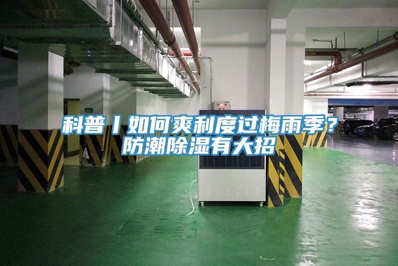科普丨如何爽利度過梅雨季？防潮除濕有大招