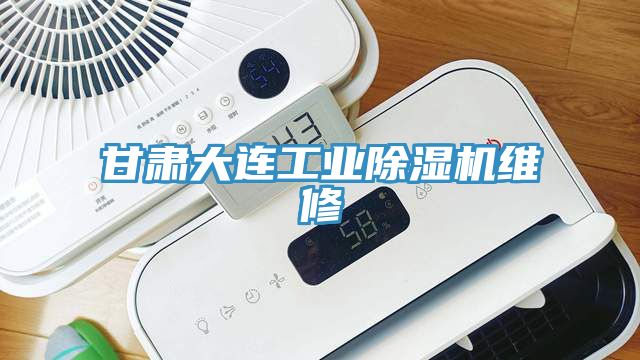 甘肅大連工業(yè)除濕機(jī)維修