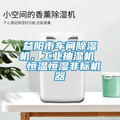 益陽市車間除濕機，工業(yè)抽濕機  恒溫恒濕非標機器