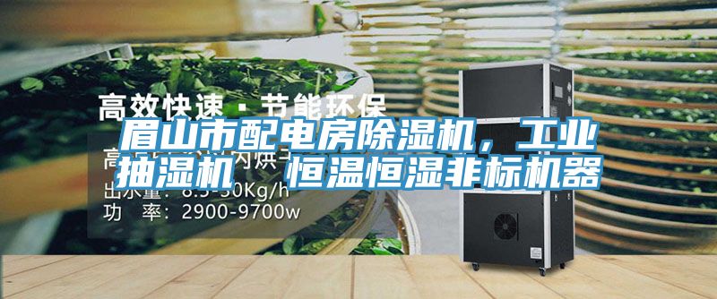 眉山市配電房除濕機(jī)，工業(yè)抽濕機(jī)  恒溫恒濕非標(biāo)機(jī)器