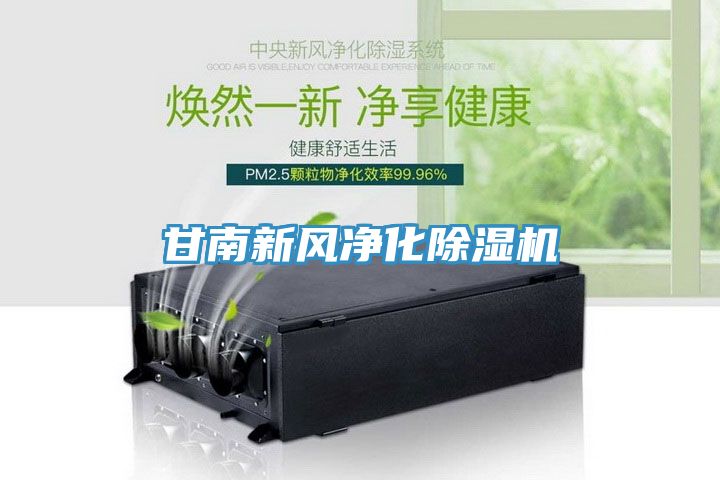 甘南新風(fēng)凈化除濕機(jī)