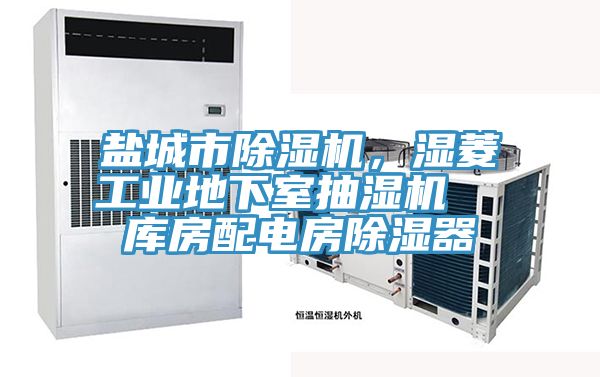 鹽城市除濕機，濕菱工業(yè)地下室抽濕機  庫房配電房除濕器