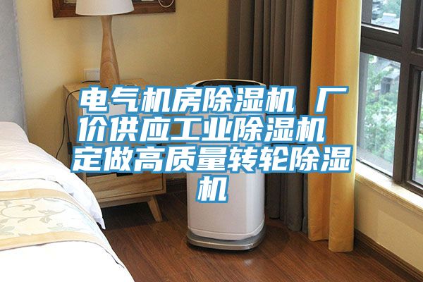 電氣機房除濕機 廠價供應工業(yè)除濕機 定做高質量轉輪除濕機